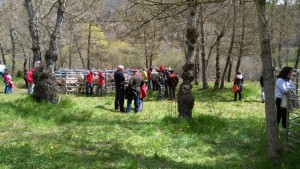 IMG-20160501-WA0007