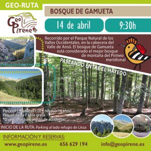 Ruta guiada. El bosque de Gamueta
