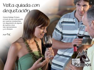 Visitas Bodega Pirineos