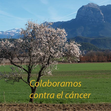 Turismo verde colabora contra el cancer
