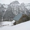 Palmeras en la nieve: Experiencia de cine