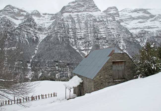 Palmeras en la nieve: Experiencia de cine