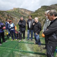 Pasarelas sobre el río Vero