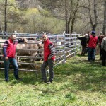 Feria de Montanuy: Apuesta por el futuro en la montaña.