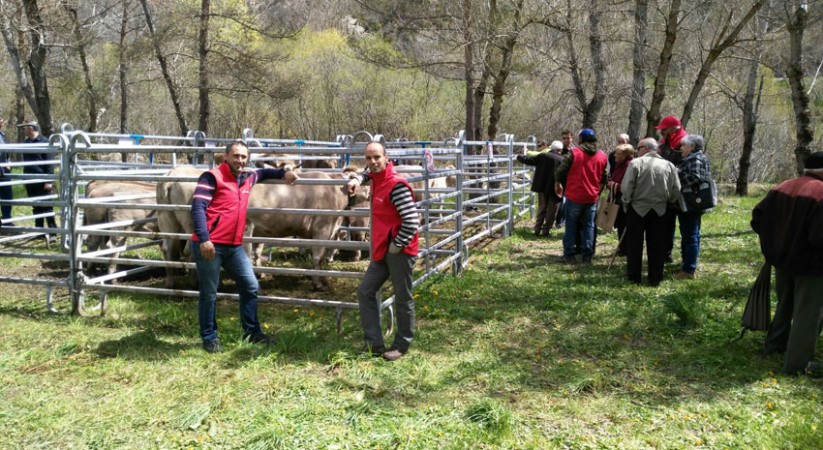 Feria de Montanuy: Apuesta por el futuro en la montaña.
