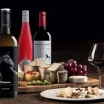 Visita Bodega Pirineos. Enoturismo y gastronomía