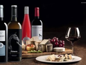 Visita Bodega Pirineos