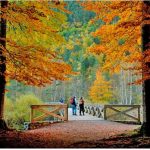 Otoño en Morillo de Tou