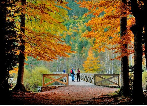 Otoño en Morillo de Tou