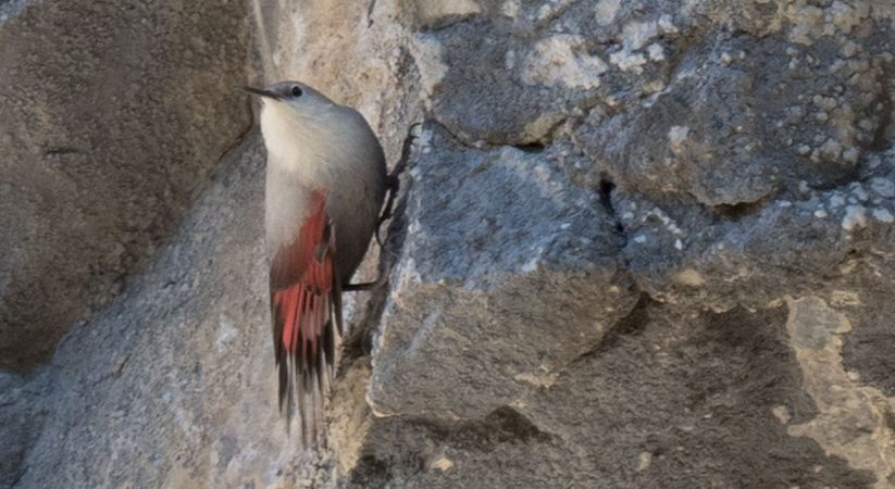 Excursión a los Miradores de Revilla.
