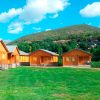 Oferta de año nuevo. Camping Laspaules