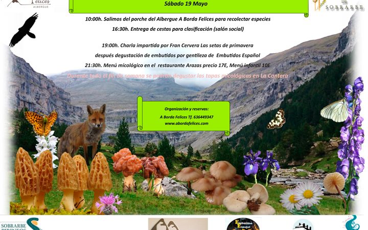 IXX JORNADAS MICOLÓGICAS EN BROTO
