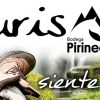 Bodegas Pirineos. Visita guiada con degustación