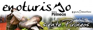 vinos somontano
