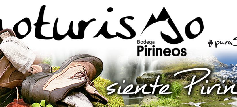 Bodegas Pirineos. Visita guiada con degustación