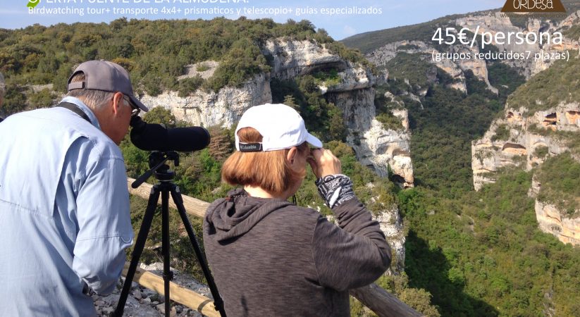 Birdwatchin con Senderos Ordesa