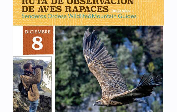 Ruta de observación de aves rapaces