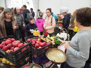 anzanas ecológicas y de altura. Comarca de Sobrarbe.