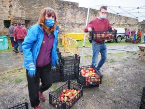Manzanas de montaña